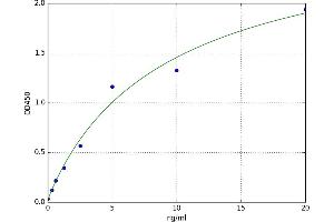 Tachykinin Receptor 1 (TACR1) ELISA Kit