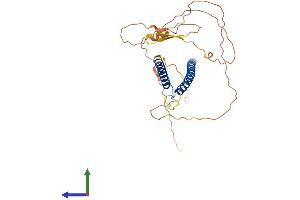 AlphaFold protein structure predicition of Human Recombinant USF1 Protein, UniprotID P22415 (USF1 Protein (AA 1-310) (His tag))