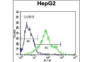 Flow Cytometry (FACS) image for anti-Syndecan 1 (SDC1) (AA 210-238), (C-Term) antibody (ABIN1539995)