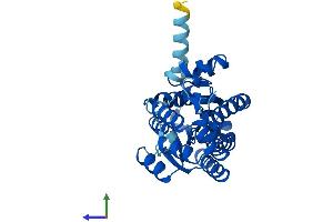 Protein Structure (PS) image for Short Chain Dehydrogenase/reductase Family 9C, Member 7 (SDR9C7) (AA 1-313) protein (His tag) (ABIN7559552)