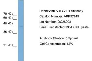 WB Suggested Anti-ARFGAP1  Antibody Titration: 0. (ARFGAP1 antibody  (Middle Region))