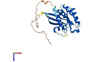 RAB41, Member RAS Oncogene Family (RAB41) (AA 1-222) protein (His tag)