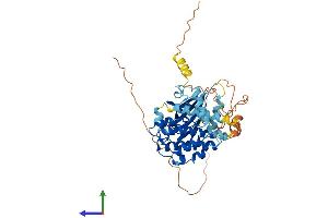 AlphaFold protein structure predicition of Mouse Recombinant Mknk2 Protein, UniprotID Q8CDB0