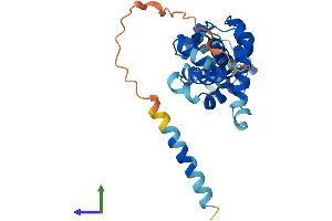 AlphaFold protein structure predicition of Human Recombinant ORC6 Protein, UniprotID Q9Y5N6 (ORC6 Protein (AA 1-252) (His tag))