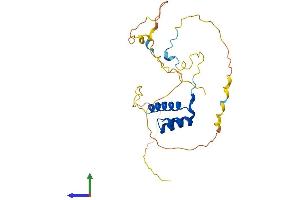 AlphaFold protein structure predicition of Human Recombinant HOXD4 Protein, UniprotID P09016