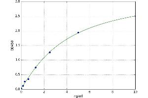 A typical standard curve