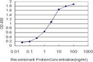 Detection limit for recombinant GST tagged TSC22D1 is approximately 0. (TSC22D1 antibody  (AA 1-144))