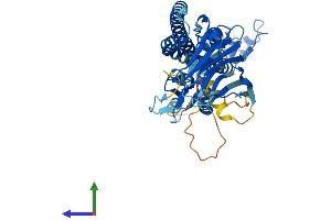 Protein Structure (PS) image for Tripartite Motif Containing 49 (TRIM49) (AA 1-452) protein (His tag) (ABIN7544589)