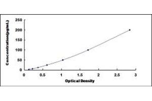 MST1 ELISA Kit