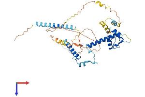 ABRA Protein (AA 1-381) (His tag)
