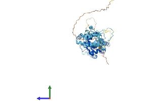 AlphaFold protein structure predicition of Mouse Recombinant Cnot11 Protein, UniprotID Q9CWN7