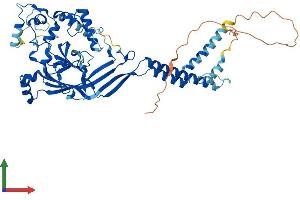 Protein Structure (PS) image for Amiloride-Sensitive Cation Channel 2, Neuronal (ACCN2) (AA 1-526) protein (His tag) (ABIN7564064)