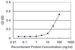 Detection limit for recombinant GST tagged CDC2 is approximately 30ng/ml as a capture antibody. (CDK1 antibody  (AA 1-297))