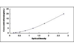 Typical standard curve (AOX1 ELISA Kit)