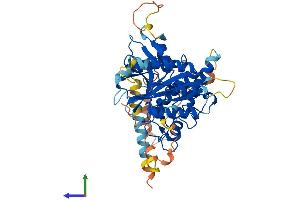 AlphaFold protein structure predicition of Human Recombinant ATG4C Protein, UniprotID Q96DT6