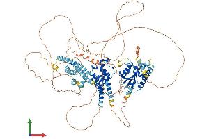 AlphaFold protein structure predicition of Mouse Recombinant Swt1 Protein, UniprotID Q9DBQ9 (SWT1 Protein (AA 1-907) (His tag))