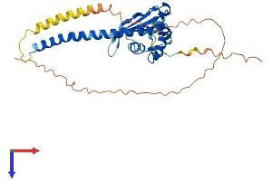 Protein Structure (PS) image for Testis Specific Protein, Y-Linked 4 (TSPY4) (AA 1-314) protein (His tag) (ABIN7544847)