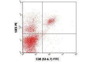 Flow Cytometry (FACS) image for anti-CD226 (CD226) antibody (PE) (ABIN2663191) (CD226 antibody  (PE))