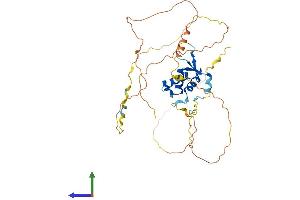 AlphaFold protein structure predicition of Human Recombinant FOXL2 Protein, UniprotID P58012 (FOXL2 Protein (AA 1-376) (His tag))
