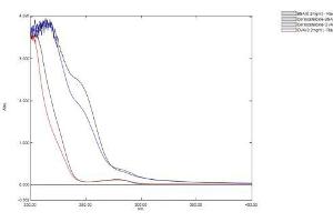 Image no. 1 for Corticosterone (CORT) protein (BSA) (ABIN1880178) (Corticosterone Protein (CORT) (BSA))