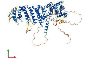 AlphaFold protein structure predicition of Mouse Recombinant Rrn3 Protein, UniprotID B2RS91 (RRN3 Protein (AA 1-656) (His tag))