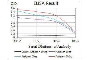 ELISA image for anti-Twinfilin, Actin-Binding Protein 1 (TWF1) (AA 335-384) antibody (ABIN1846307) (TWF1 antibody  (AA 335-384))