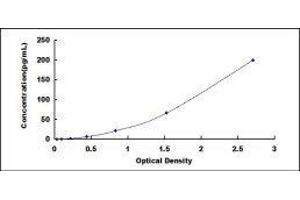 ELISA image for Prothrombin Fragment 1+2 (F1+2) ELISA Kit (ABIN414730)