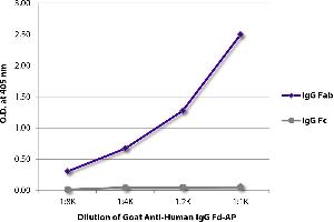 ELISA plate was coated with purified human IgG Fab and IgG Fc. (Goat anti-Human IgG (Fd Region) Antibody (Alkaline Phosphatase (AP)))