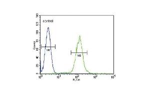 PLA2G2D Antibody (C-term) (ABIN655102 and ABIN2844734) flow cytometric analysis of HL-60 cells (right histogram) compared to a negative control cell (left histogram). (PLA2G2D antibody  (C-Term))