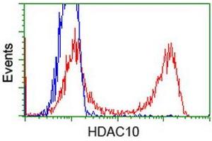 HEK293T cells transfected with either RC218536 overexpress plasmid (Red) or empty vector control plasmid (Blue) were immunostained by anti-HDAC10 antibody (ABIN2453115), and then analyzed by flow cytometry.
