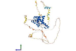 AlphaFold protein structure predicition of Human Recombinant DUX4 Protein, UniprotID Q9UBX2