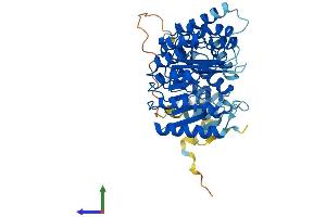 AlphaFold protein structure predicition of Human Recombinant PRAMEF8 Protein, UniprotID Q5VWM4 (PRAMEF8 Protein (AA 1-474) (His tag))