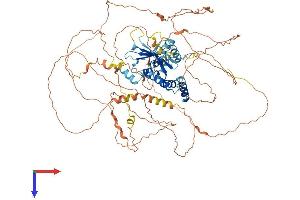 AlphaFold protein structure predicition of Human Recombinant SUPT20HL1 Protein, UniprotID Q3ZLR7 (SUPT20HL1 Protein (AA 1-823) (His tag))