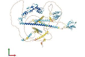Protein Structure (PS) image for PDZ Domain Containing Ring Finger 3 (PDZRN3) (AA 1-1066) protein (His tag) (ABIN7555131)