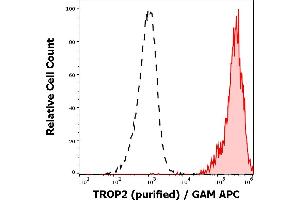 Separation of A431 cells (red-filled) from human peripheral whole blood cells (black-dashed) in flow cytometry analysis (surface staining) stained using anti-human TROP-2 (TrMab-6) purified antibody (concentration in sample 1,7 μg/mL, GAM APC). (TACSTD2 antibody)
