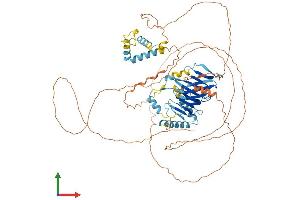AlphaFold protein structure predicition of Human Recombinant ERICH6B Protein, UniprotID Q5W0A0