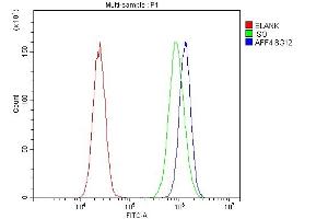Flow Cytometry analysis of 293T cells using anti-AFF4 antibody (ABIN7603136). (AFF4 antibody  (N-Term))