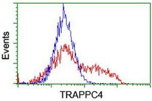 Image no. 2 for anti-Trafficking Protein Particle Complex 4 (TRAPPC4) antibody (ABIN1501264) (TRAPPC4 antibody)