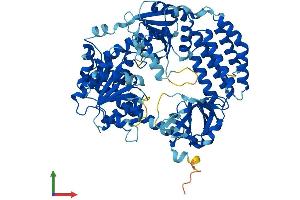 Protein Structure (PS) image for DEXH (Asp-Glu-X-His) Box Polypeptide 58 (DHX58) (AA 1-678) protein (His tag) (ABIN7564877)