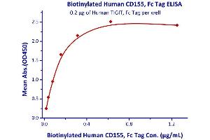 Measured by its binding ability in a functional ELISA. (Poliovirus Receptor Protein (PVR) (AA 21-343) (Fc Tag,AVI tag,Biotin))