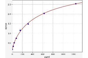 GJB2 ELISA Kit