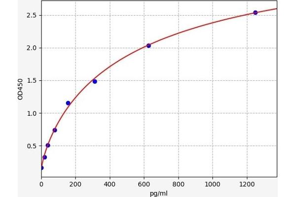 GJB2 ELISA Kit