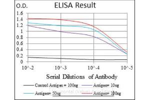 ELISA image for anti-Argininosuccinate Synthase 1 (ASS1) antibody (ABIN1845465)