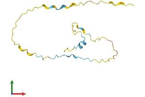 AlphaFold protein structure predicition of Mouse Recombinant Fam229a Protein, UniprotID B2KGE5