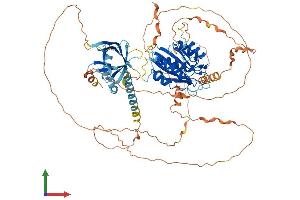 AlphaFold protein structure predicition of Human Recombinant MED25 Protein, UniprotID Q71SY5 (MED25 Protein (AA 1-747) (His tag))