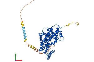 AlphaFold protein structure predicition of Human Recombinant FICD Protein, UniprotID Q9BVA6 (FICD Protein (AA 1-458) (His tag))