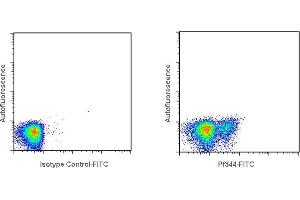 Detection of Perforin by flow cytometry in viable human peripheral blood mononuclear cells (PBMC). (Perforin 1 antibody  (FITC))