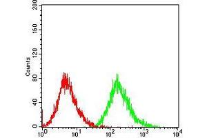 Flow cytometric analysis of Jurkat cells using PTPN1 mouse mAb (green) and negative control (red). (PTPN1 antibody  (AA 40-246))