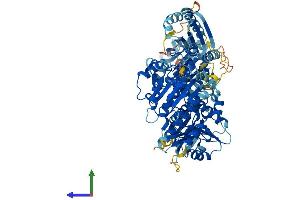AlphaFold protein structure predicition of Mouse Recombinant Slfn5 Protein, UniprotID Q8CBA2