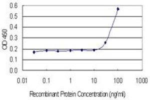 Detection limit for recombinant GST tagged SLC30A5 is 10 ng/ml as a capture antibody. (SLC30A5 antibody  (AA 1-118))